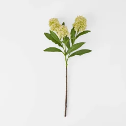 Amaranth Stem