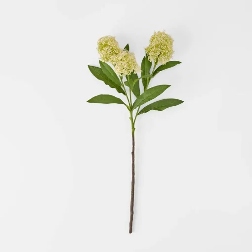 Amaranth Stem