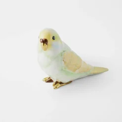 Budgie