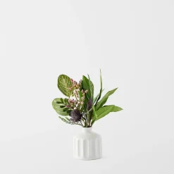 Cinnamon Leaf In Ceramic Vase