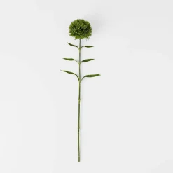 Dianthus Stem