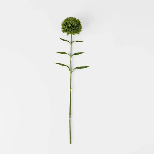 Dianthus Stem