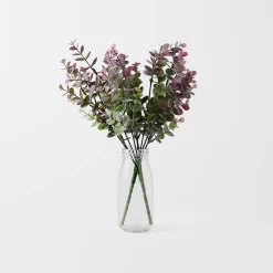 Eucalypt in Glass Vase