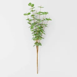 Eucalyptus Spray - Green