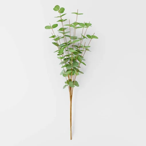 Eucalyptus Spray - Green