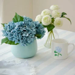 Hydrangea in Ceramic Pot