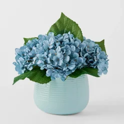 Hydrangea in Ceramic Pot