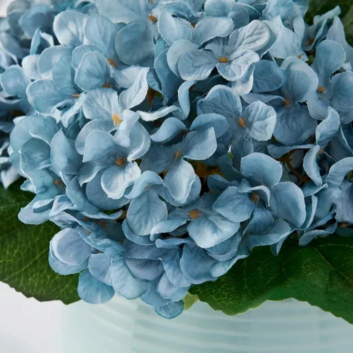 Hydrangea in Ceramic Pot