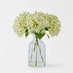 Hydrangea in Glass Vase