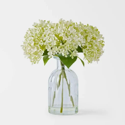 Hydrangea in Glass Vase