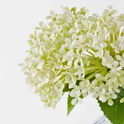 Hydrangea in Glass Vase