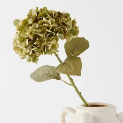 Hydrangea Stem Green