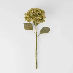 Hydrangea Stem Green