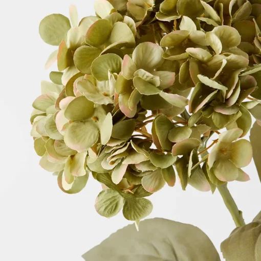 Hydrangea Stem Green