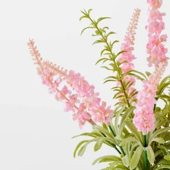 Lavender Rosea in Glass Vase