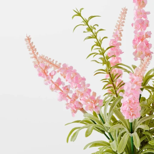 Lavender Rosea in Glass Vase