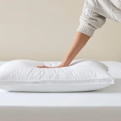 Luxury Goose Surround King Pillow