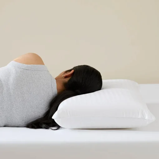 Memory Foam High Profile Pillow