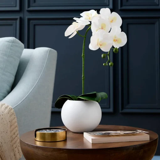 Orchid in Ceramic Pot Tall - White