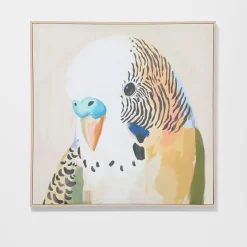Parakeet Framed Canvas