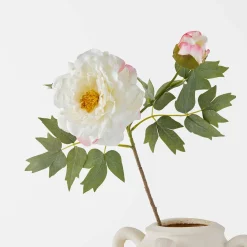 Peony Stem