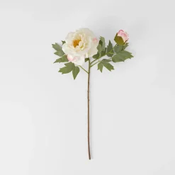 Peony Stem