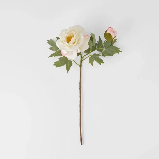Peony Stem