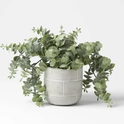 Potted Gum