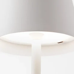 Ramona LED Table Lamp