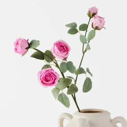 Rose Stem