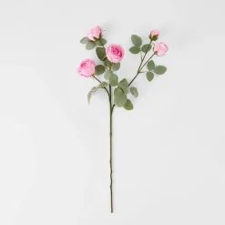 Rose Stem