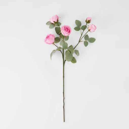 Rose Stem