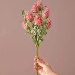 Ruby Blush Spray - Pink