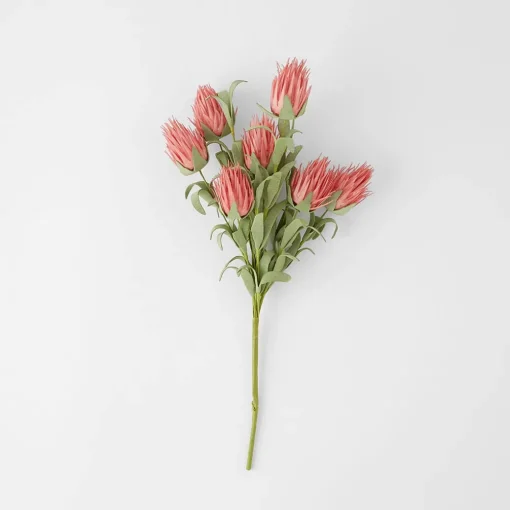 Ruby Blush Spray - Pink