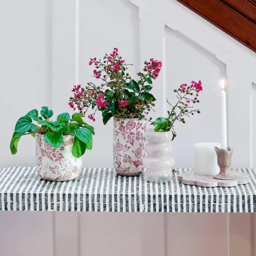 Salma Ceramic Pot Tall