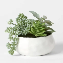 Succulent Garden Pot Large