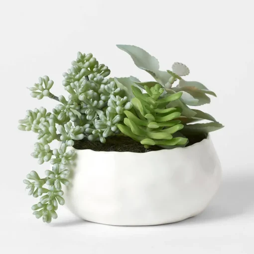 Succulent Garden Pot Large