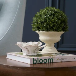 Topiary in Pot
