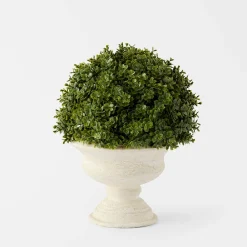 Topiary in Pot