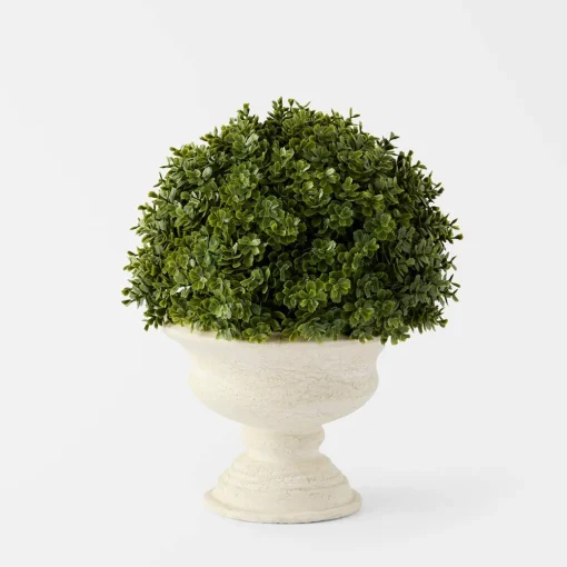 Topiary in Pot