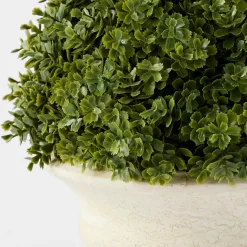 Topiary in Pot
