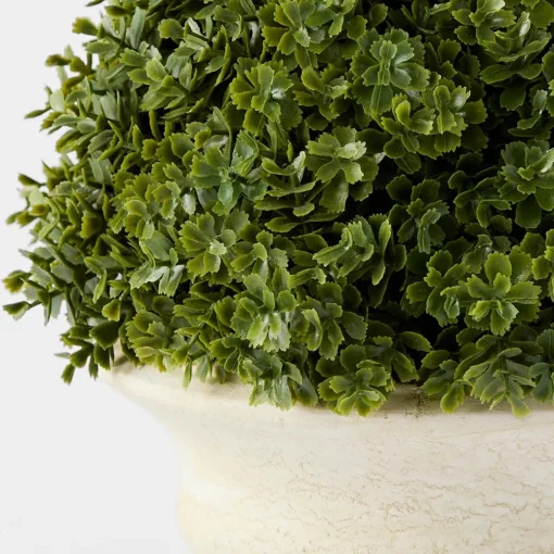 Topiary in Pot
