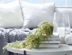 Trailing Greenery in Pot