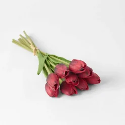 Tulip Bunch Of 9 Stems