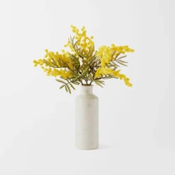 Wattle in Ceramic Vase