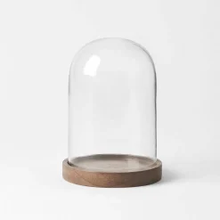 Wood Base Glass Dome