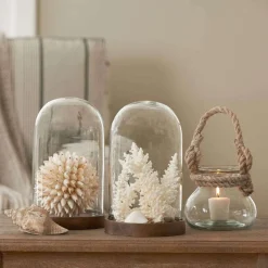 Wood Base Glass Dome